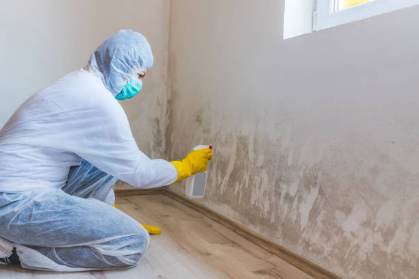 Licensed Bathroom Mold Removal service in Fulton, TX - Mold Remediation HQ