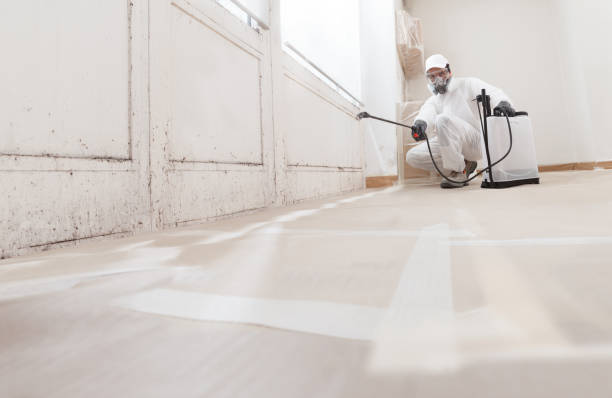 24/7 Emergency Bathroom Mold Removal experts in Fulton, TX